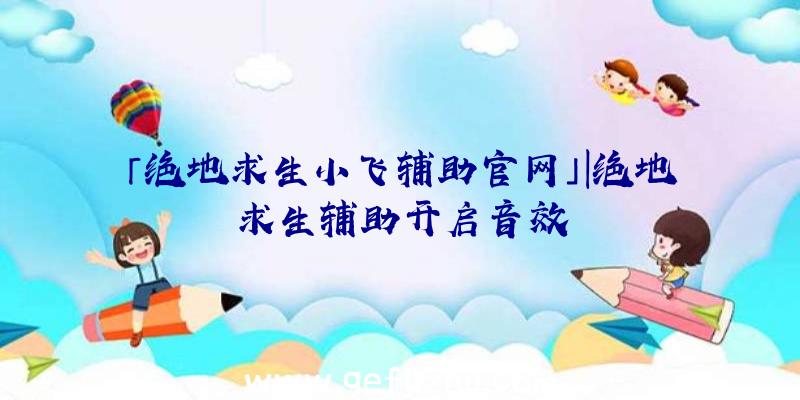 「绝地求生小飞辅助官网」|绝地求生辅助开启音效